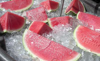 Kids Watermelon Fruit