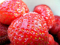 Kids Strawberries Fruit
