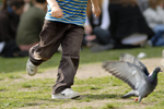 Kids Chasing Birds